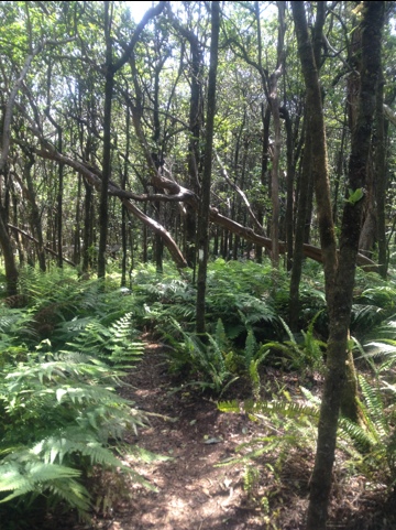 20120512-211359.jpg