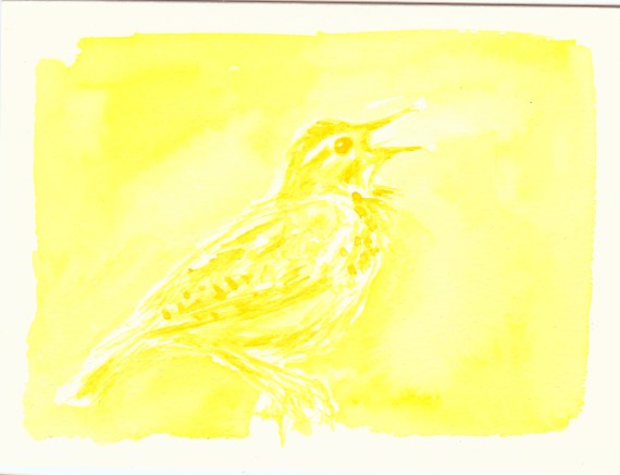 Meadowlark by Summer Lee, 2012. watercolor on paper
