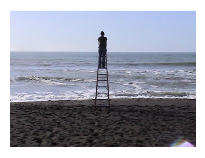 Ladder, by Summer Lee
