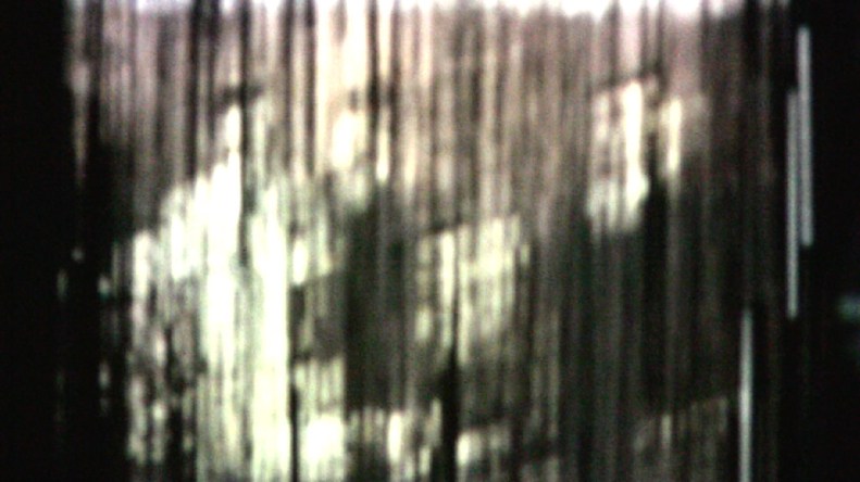 Still Frame from Ancestors on Rice Video, Summer Lee